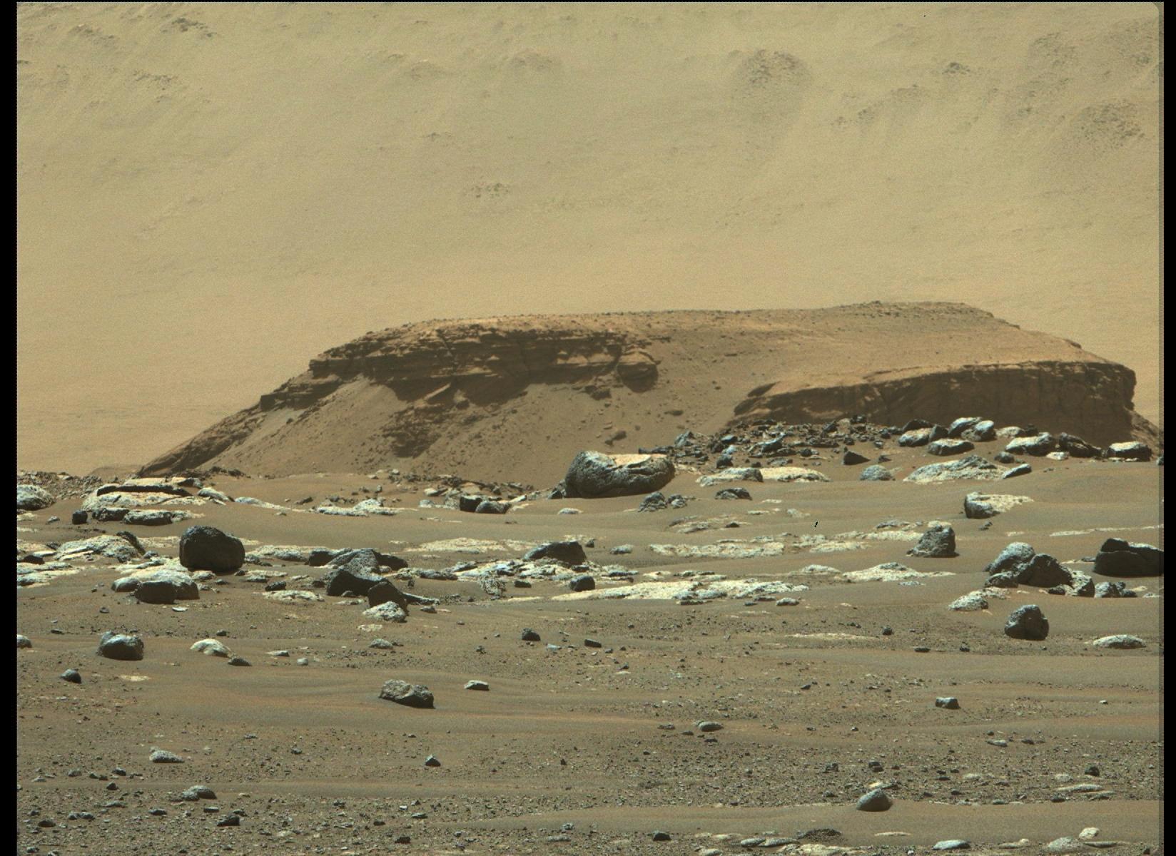 Octavia Butler Landing on Mars